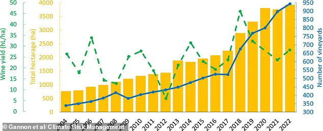 Climate Change Fuels Wales' Pinot Noir Rise as Denbighshire Embraces Viticulture