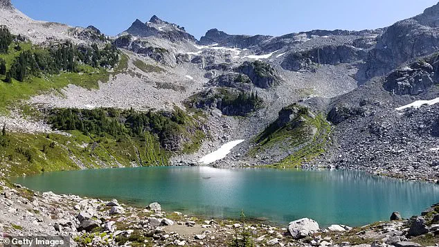 Tricouni Peak Incident: Hiker's Desperate Rescue of Dog After Slip