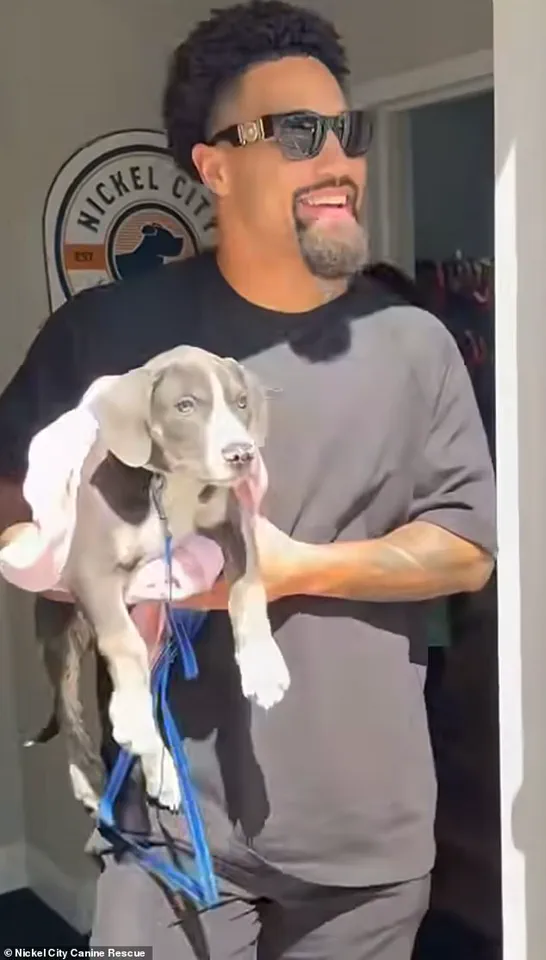 Breaking: Buffalo Bills' Khalil Shakir Rescues 19 Dogs in Emotional Viral Moment