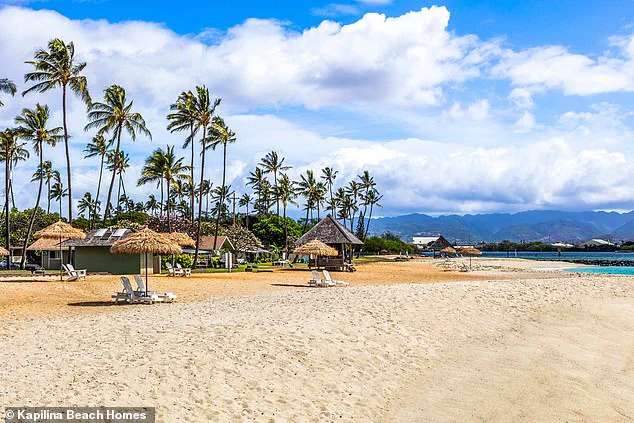 Behind Closed Gates: A Lifeguard's Critical Condition Reveals Hidden Violence in a Privileged Beach Community