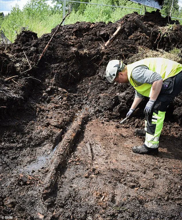 Sweden's 5,000-Year-Old Prehistoric 'Time Capsule' Uncovered: Exclusive Glimpse into Ancient Life Preserved in a Bog