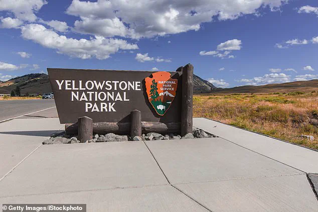 Yellowstone Bison Incident Sparks Debate on Human Curiosity and Wildlife Safety, Experts Warn of Risks from Ignoring Regulations