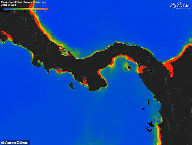 Failure of Gulf of Panama Ocean Upwelling Sparks Fears for Marine Life and Coastal Communities