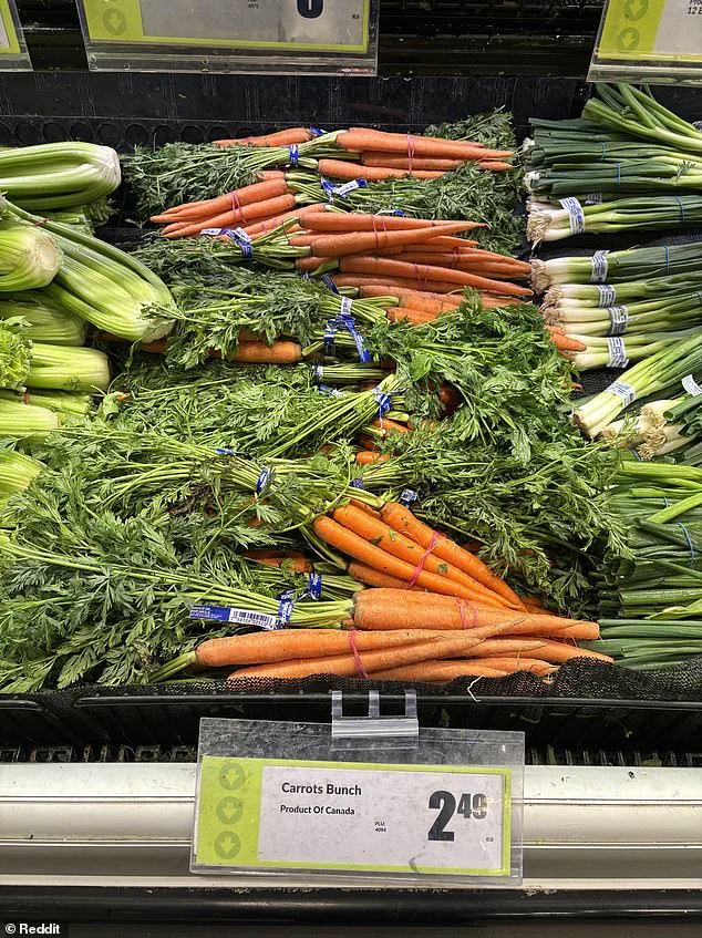 Investigation Uncovers 'Maple Washing' as Canadian Stores Mislabel U.S. Produce During Trump Tariff Dispute