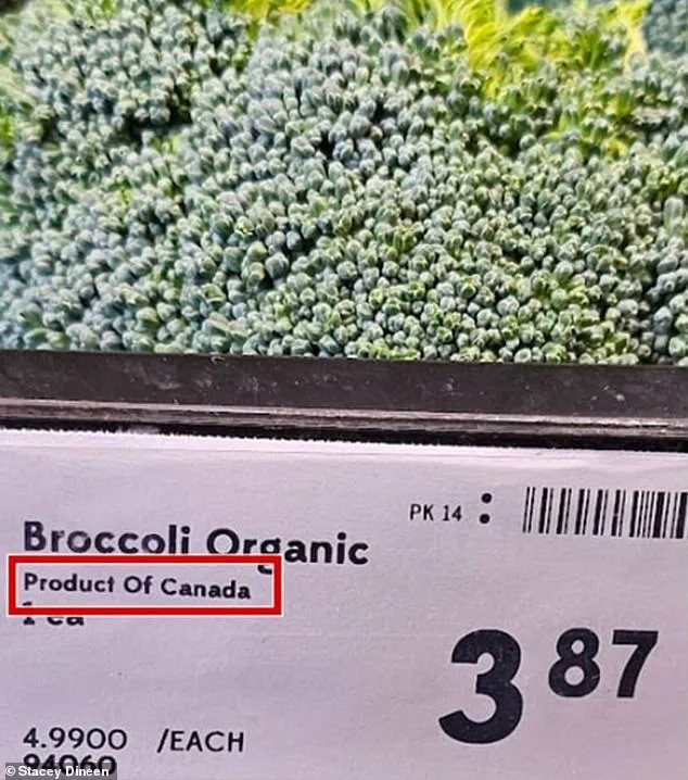 Investigation Uncovers 'Maple Washing' as Canadian Stores Mislabel U.S. Produce During Trump Tariff Dispute