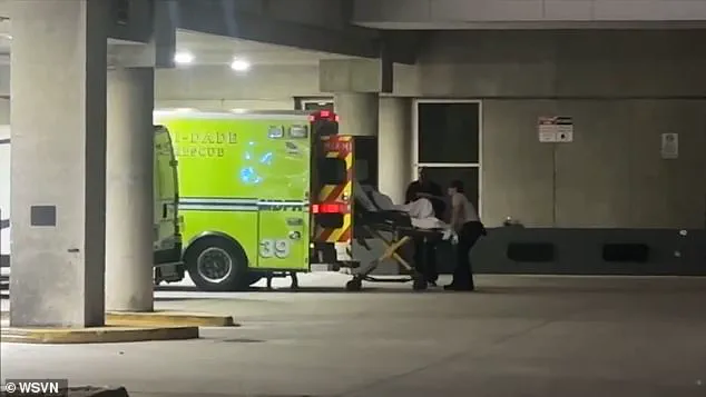 Royal Caribbean cruise ship 'Wonder of the Seas' returns to Miami after brawl injures two passengers, prompting unexpected detour