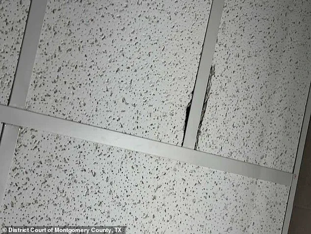 Unauthorized Access to Private Areas: Texas Hospital Director Arrested for Hidden Camera Scheme