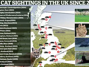 Unconfirmed Reports of Big Cat Killing Horse Fuel Speculation, Trail Camera Footage Remains Enigmatic