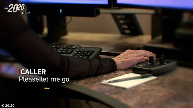 2008: The Disappearance and Tragic Death of Denise Amber Lee, a Mother of Two