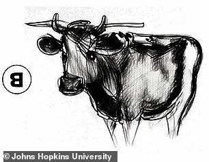 Johns Hopkins Researchers Uncover New Visual Anagrams to Revolutionize Understanding of Human Perception