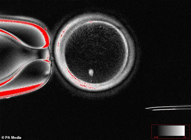 Biological Parenthood Challenges for Same-Sex Couples: Navigating Surrogacy, Adoption, and Legal Complexities