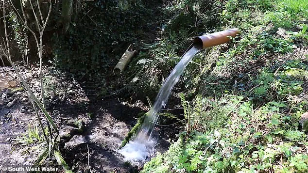 Government Regulations Fail to Curb Sewage Spills, Endangering Public and Environment in Britain