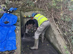 Government Regulations Fail to Curb Sewage Spills, Endangering Public and Environment in Britain