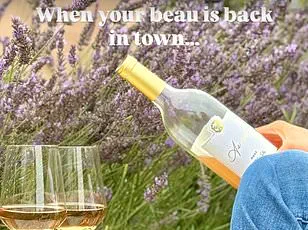 Meghan Markle's 'Risky' Sauvignon Blanc Gambit: Experts Call It a Backstabbing Move as Critics Mock Her Quiet Launch