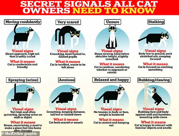 Muttley's Estate Launches Catnip-Infused Pet-Friendly Wines