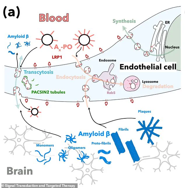 Spanish Researchers Report Nanoparticle Breakthrough in Alzheimer's Treatment, 'This Could Change Everything' Says Lead Scientist