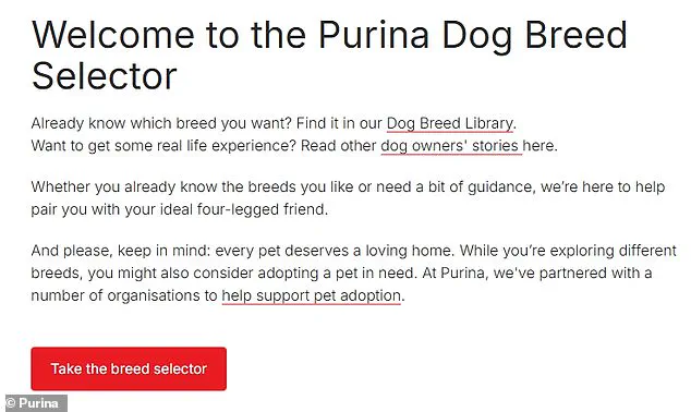 Urgent: Prospective Dog Owners Overwhelmed by Britain's 225 Breeds