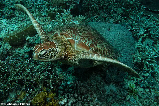 World on Brink of Mass Extinction as IUCN Reveals 48,646 Species at Risk, Arctic Seals and 61% of Birds in Decline