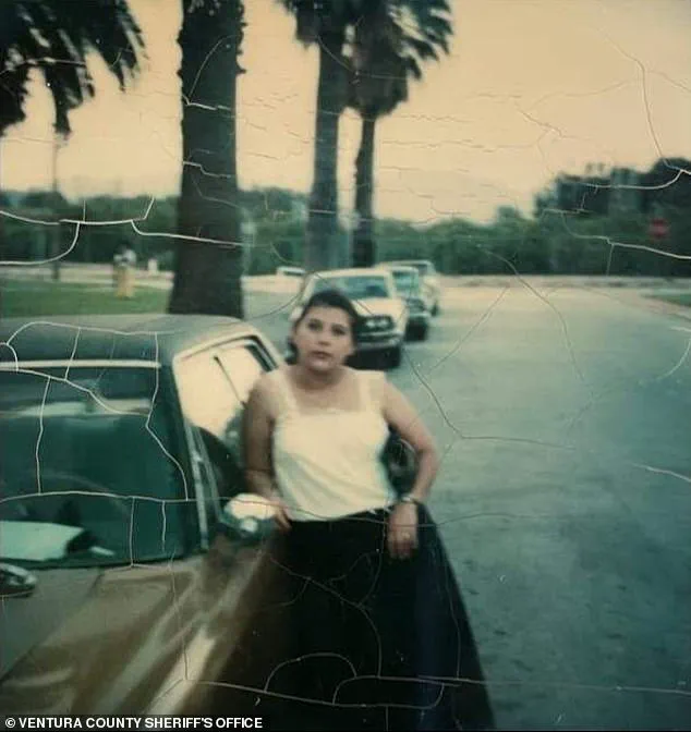 Identity Revealed: Maria Belmontes Blancas, Missing for Over Four Decades, Found in Ventura County Orange Orchard