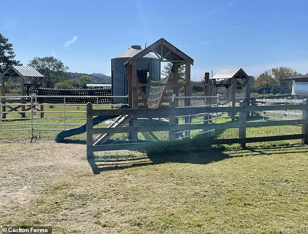 Tragic Drowning of Victoria King During Georgia School Field Trip Sparks Safety Scrutiny