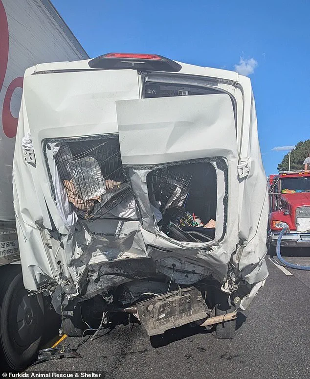 Catastrophic Six-Vehicle Pileup on I-85 in Georgia Leaves Eight Dead, Marking Deadliest Accident in State This Year