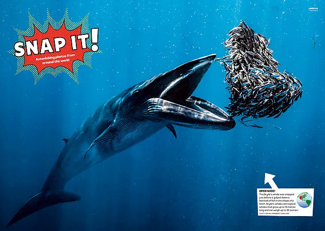 Making Reading Irresistible: How Fun Can Beat the Pull of Screens for Kids