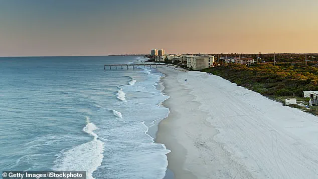 Toxin Linked to Alzheimer's in Dolphins Raises Human Health Concerns Along U.S. Coastline