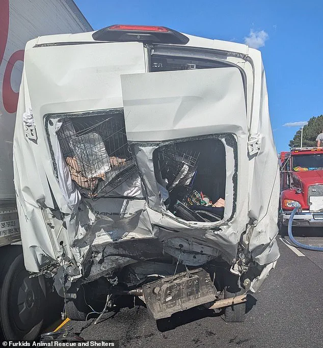 Tragedy on Interstate 85: Eight Lives Lost in Tractor-Trailer Collision Sparking Legal and Safety Scrutiny