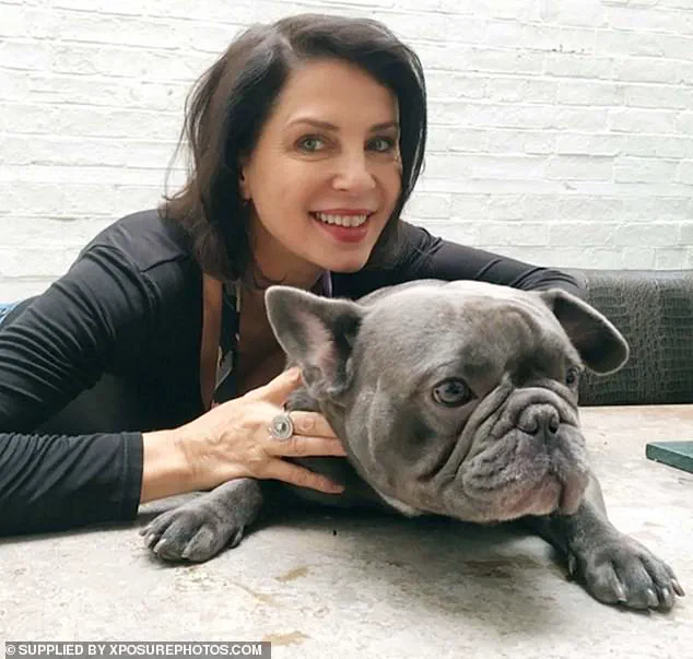 Exclusive RVC Data Reveals 2075% Surge in Surgeries for Flat-Faced Breeds, as Vets Urge Caution