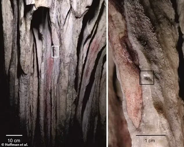 Neanderthal Cave Art Rewrites History, Dating Back Over 64,000 Years
