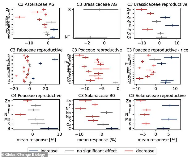 Scientists Warn: Rising CO2 Levels Are Quietly Depleting Nutrients in Global Crops, Threatening Public Health
