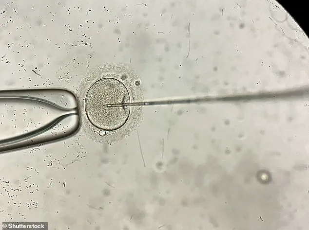 UK Study Reveals Donor Eggs Are Primary Driver of IVF Success for Women Over 43