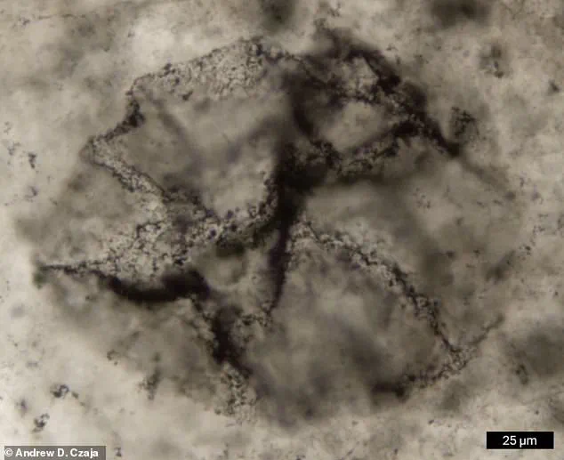 Breakthrough Discovery: Earliest Chemical Evidence of Life on Earth Challenges Evolutionary Timelines