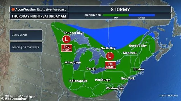 Exclusive: The Polar Vortex's Unprecedented Impact on the Eastern US