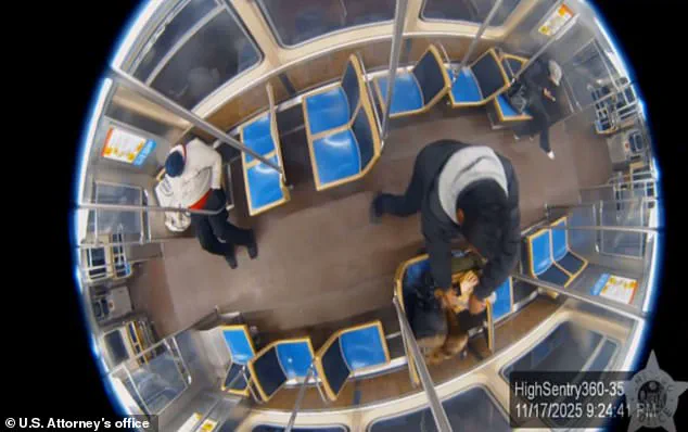 Late-Breaking: Chicago Attack Survivor's Fight for Survival Sparks Legal and Safety Debate