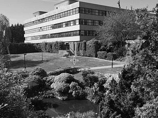 Magician Pete Firman's Viral Optical Illusion Warps Celebrity Faces, Leaving TikTok Users Bewildered