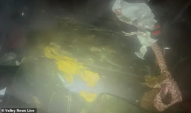 Two Dogs Abandoned in Freezing, Unsuitable Car for Four Days in Moorehead, Minnesota