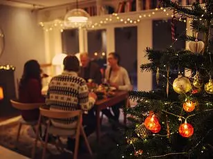 The Hidden Strain of Christmas: How Family Gatherings Reveal Unspoken Tensions and Psychological Regression