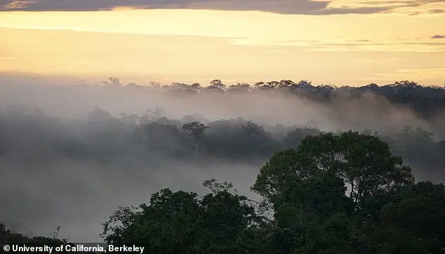 Amazon Rainforest on Brink of Hypertropical Transformation by 2100, Scientists Warn of Dire Climate Impacts