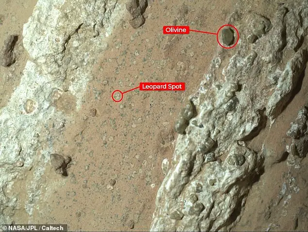 Breaking: Dame Maggie Aderin-Pocock Predicts Extraterrestrial Life Confirmation Within 50 Years