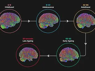 New Study Suggests Human Bodies Reach Peak Physical Ability at 35, Challenging Long-Held Assumptions About Aging and Performance