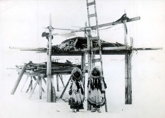 The Weight of Heritage and the Call to Tell: James Dommek Jr. Faces a Story That Could Reshape Modern Storytelling