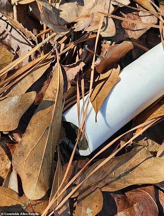 Four-Year-Old Boy Found Dead Two Miles From Home in Alabama After Disappearance With Dog