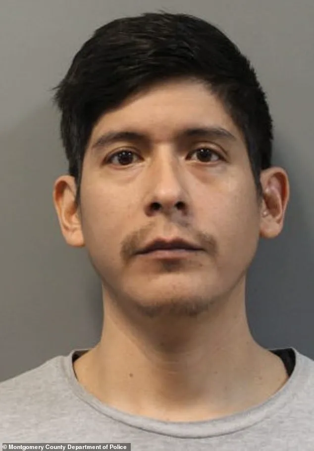 Missing Kentucky Teen Found Alive Months After Vanishing: Community Relief as Search Ends