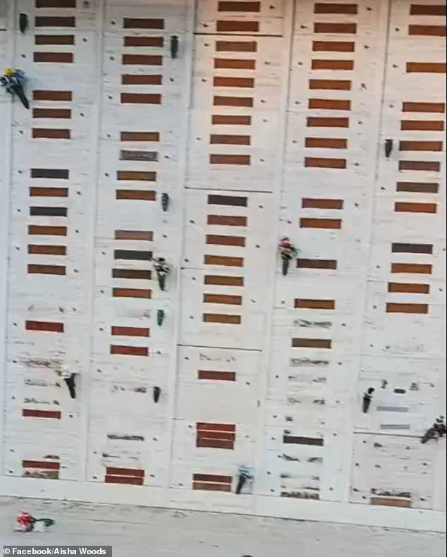 Vandals Loot Historic Civil War Cemetery in Los Angeles County, Ravaging 1,600 Graves