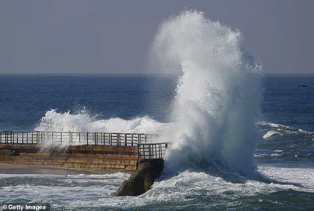 Tourists' Mishandling of Fragile Marine Life During La Jolla's King Tides Sparks Conservation Outcry