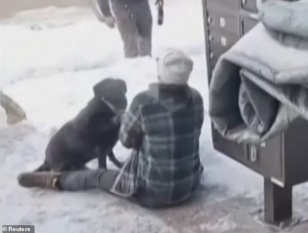 ICE Agent Shoots Protester in Minneapolis, Sparking National Debate Over ICE and Civil Liberties