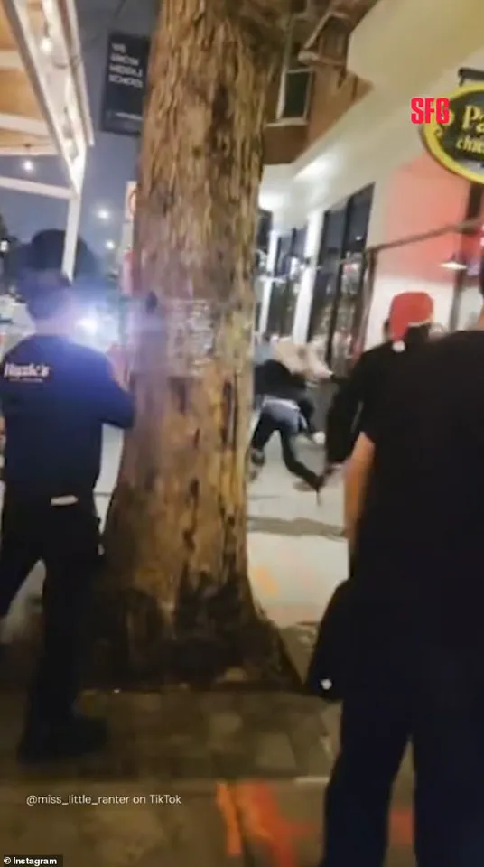 Bartender and Intoxicated Customer Confrontation at San Francisco Restaurant Co-Owned by Celebrity Chef Joey Altman Sparks Debate Over Workplace Accountability and Public Safety