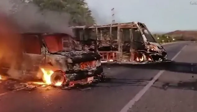 Mexico's Cartel Violence: A Daily Toll of Brutality and Civilian Suffering