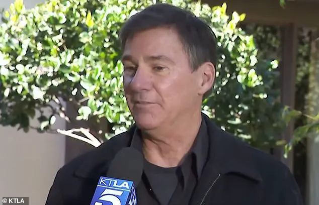 Homeowner Removes 550-Pound Black Bear After Month-Long Residential Ordeal